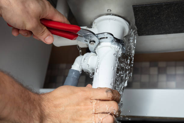 Best Local water damage restoration  in Zephyrhills, FL