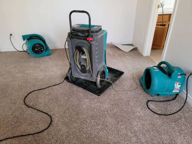 Best Sewage cleanup and water damage restoration  in Zephyrhills, FL