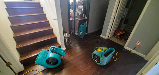 Best Ceiling water damage repair  in Zephyrhills, FL