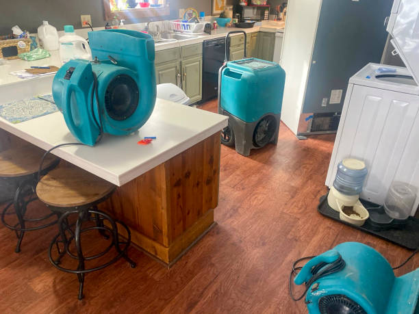 Reliable Zephyrhills, FL Water damage restoration Solutions