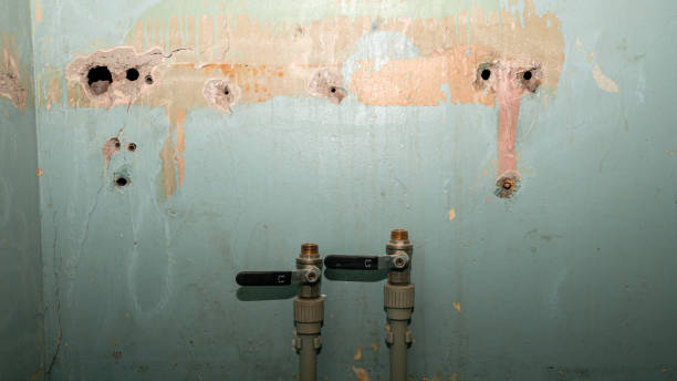 Carpet water damage restoration in Zephyrhills, FL