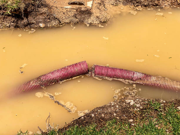 Best Water damage contractors near me  in Zephyrhills, FL