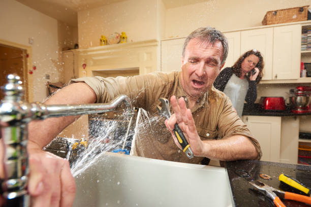 Best Flood damage cleanup  in Zephyrhills, FL